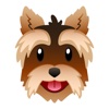 Yorkshire Terrier Stickers for iMessage