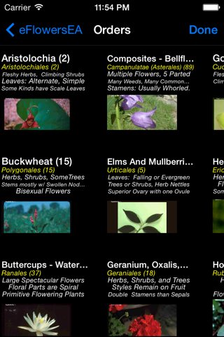 Wildflowers of Europe & Asia - A Wildflowers App screenshot 2