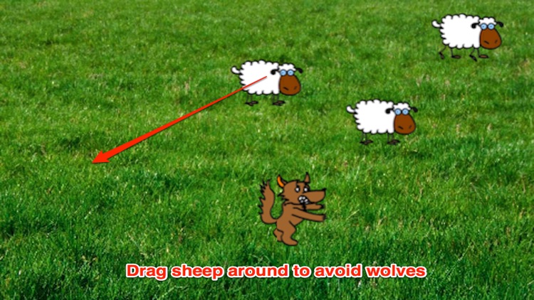 Awesome Wolf vs Small Sheep