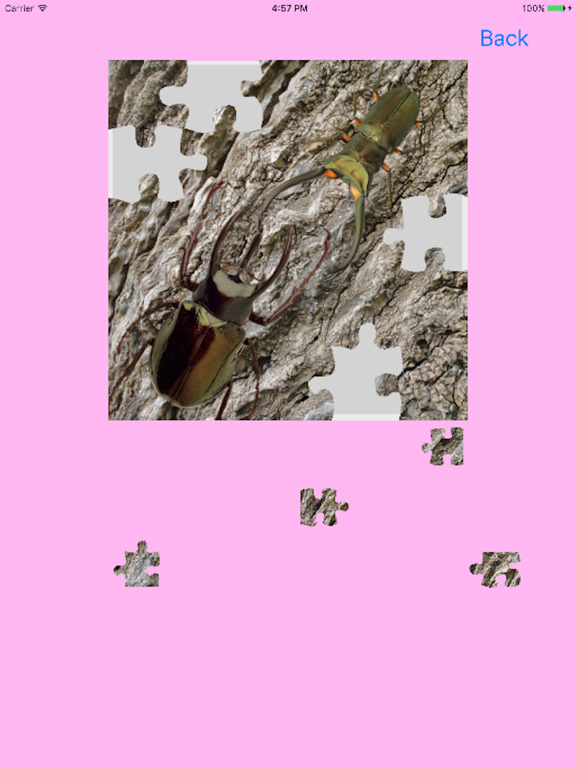 Screenshot #5 pour Rhinoceros Beetle Jigsaw Puzzle