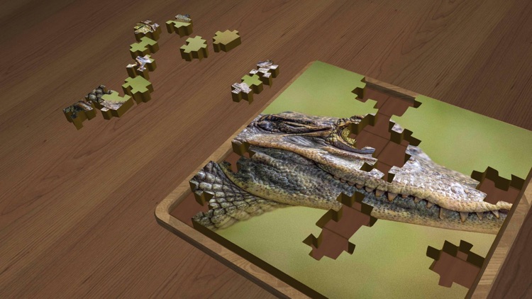 Super Jigsaws Wildlife