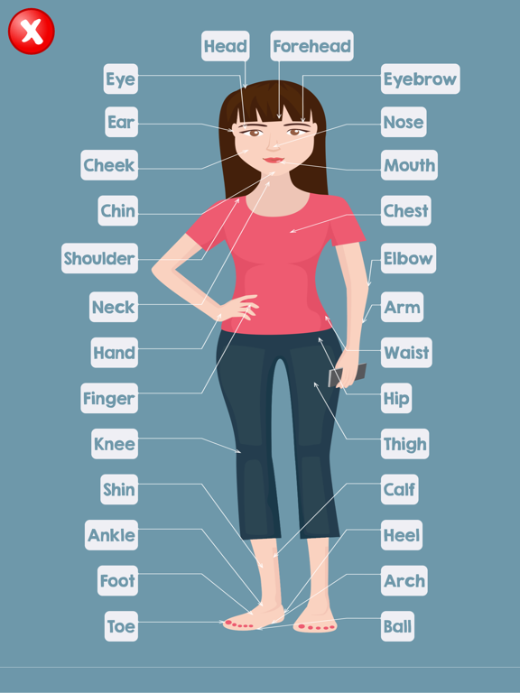 Screenshot #5 pour Human Body Parts Name