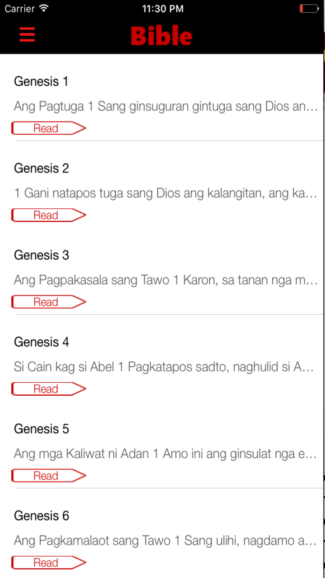 Hiligaynon Bible screenshot 4