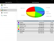 debt payoff assistant ipad capturas de pantalla 2