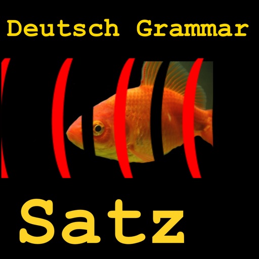 Deutsch Grammar Satz iOS App