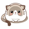 Dainty Cat Animated Stickers