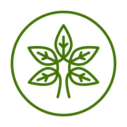 Yoga Daily Videos Читы