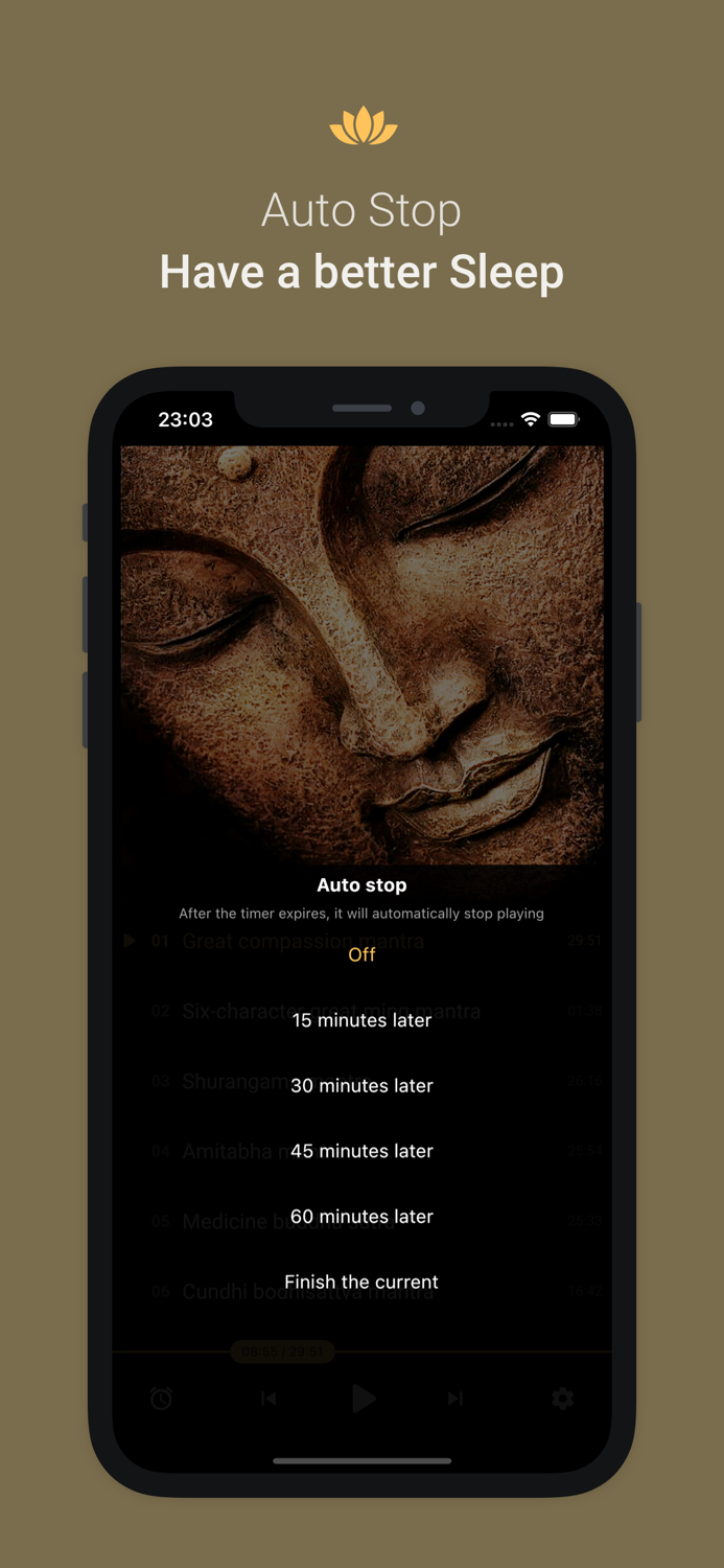 Buddha Mantra Pure Version