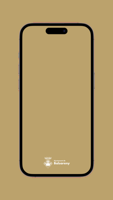 Ajuntament de Balsareny Screenshot