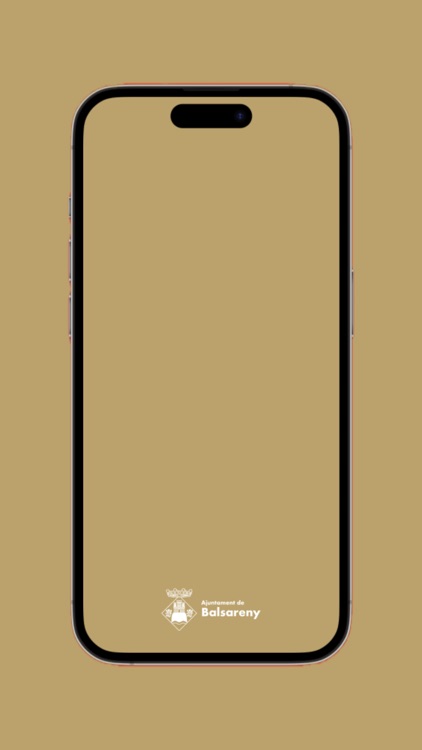 Ajuntament de Balsareny