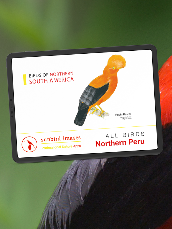 Screenshot #4 pour All Birds Northern Peru