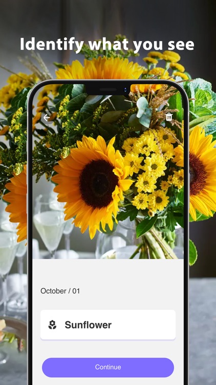 Scan Pro - Plant&QR&OCR