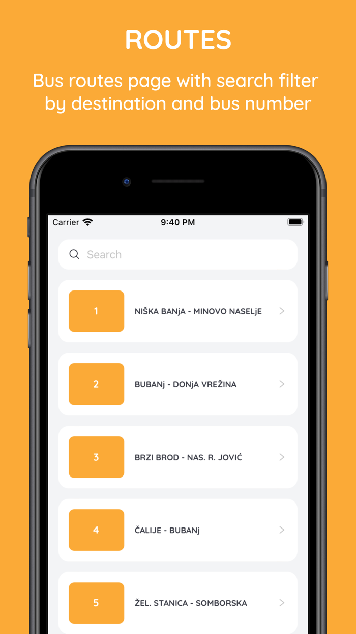 Public Transport Niš