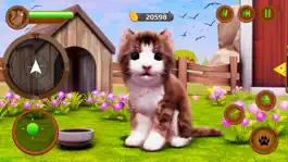 Game screenshot Симулятор маленького котенка mod apk