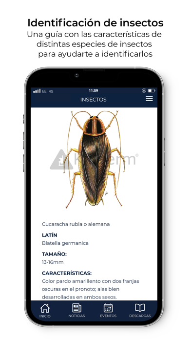 Killgerm Soporte Screenshot