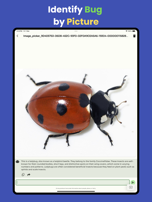 Screenshot #4 pour Bug identifier by picture