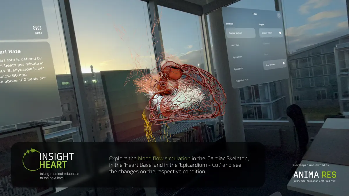 INSIGHT HEART screenshot 3