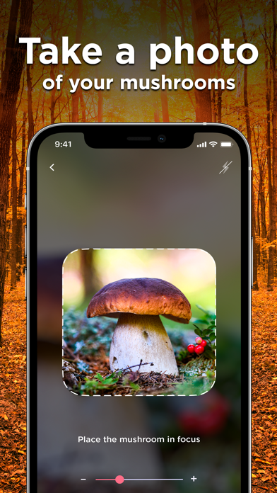 Mushroom ID: Fungus Identifierのおすすめ画像5