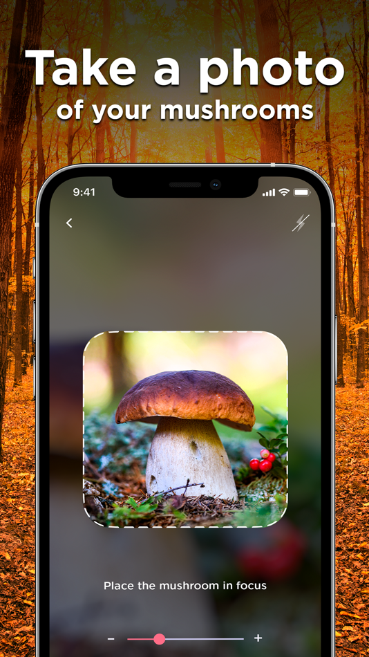 #5. Mushroom Identifier: Photo ID (iOS) 由: Picture & Photo Identifier Company LTD