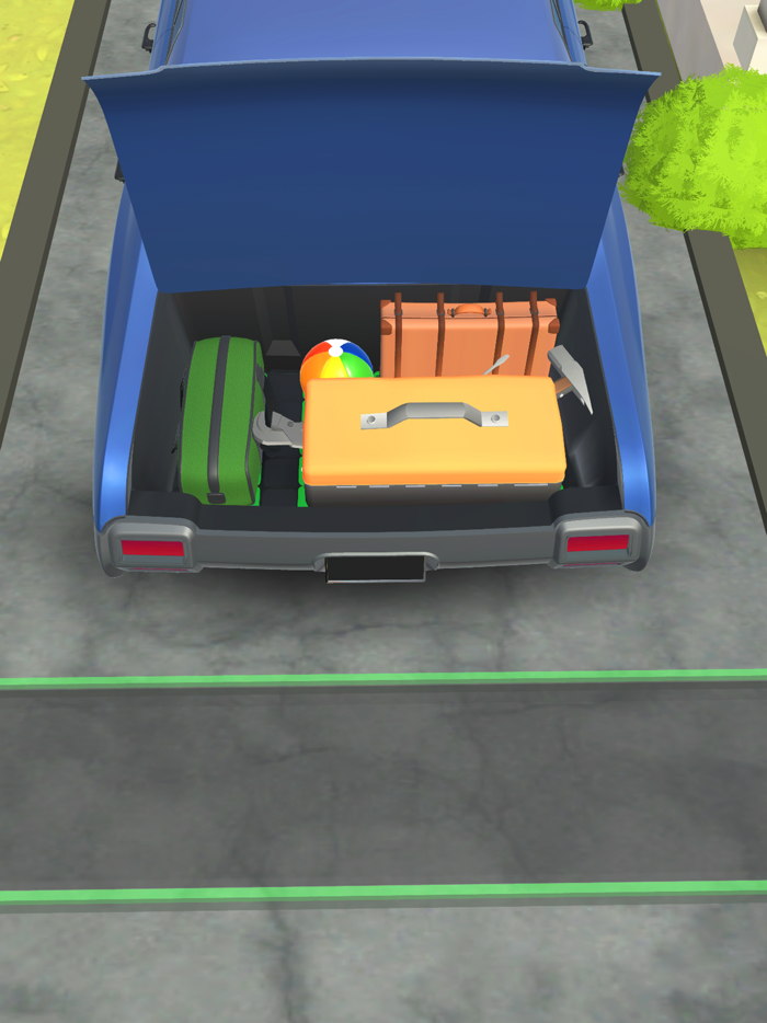 Perfect Fit Luggage Master