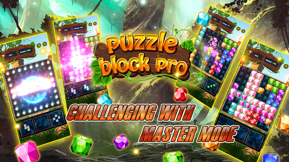 #2. Puzzle Block Pro (iOS) Podle: Binh Nguyen