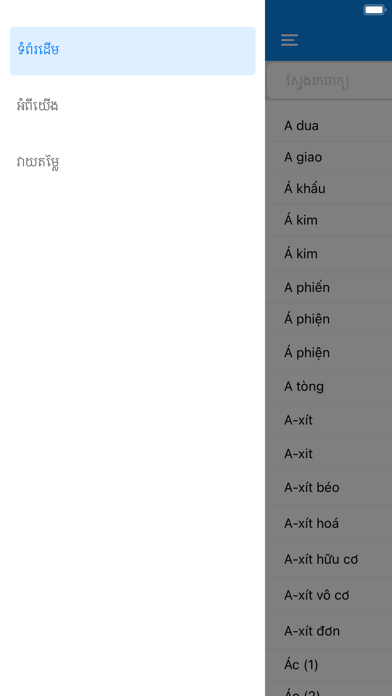 VK Dictionary Screenshot