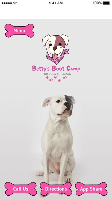 Betty's Boot Camp Screenshot