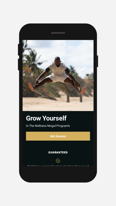 Wellness Mogul Screenshot