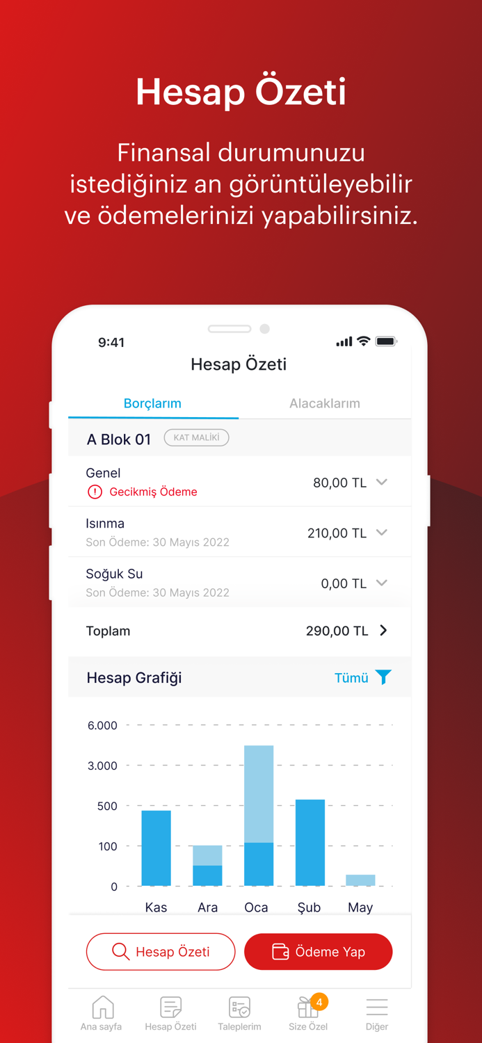 Gümüştekin Yönetim