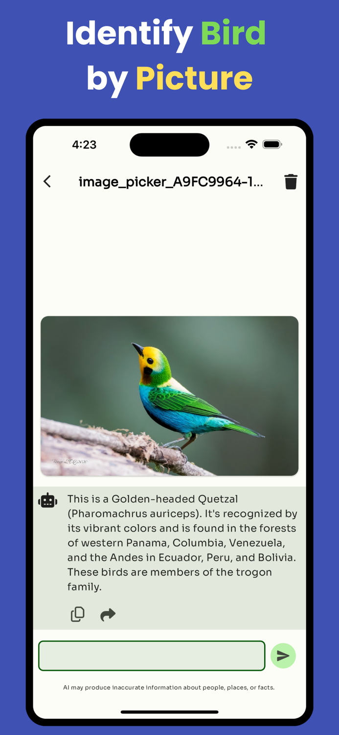 Bird identifier by picture