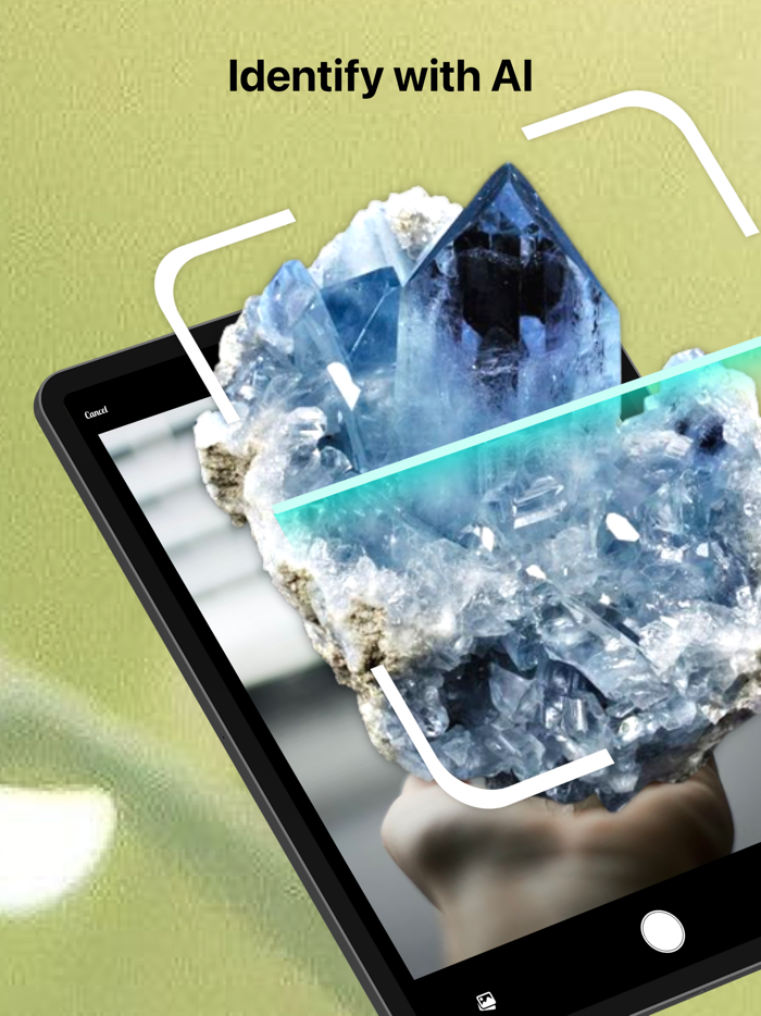 Rock Identifier Stone Scanner