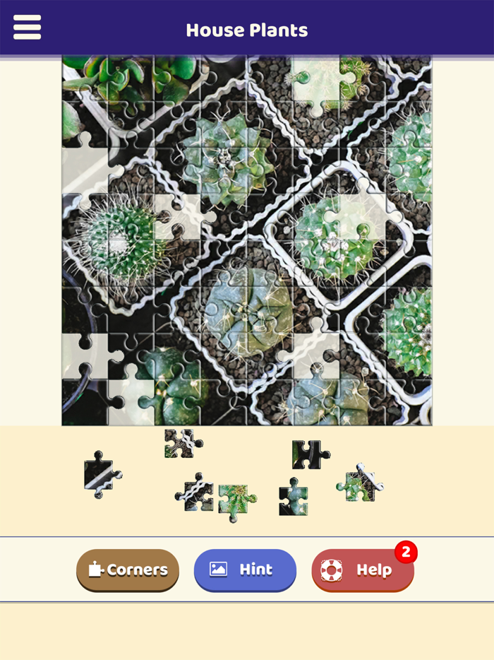 House Plants Puzzle