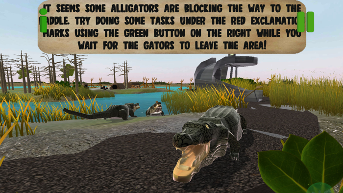 Everglades presented by MAGIC