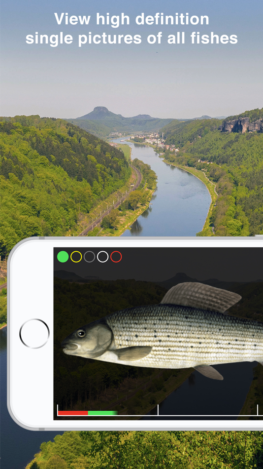 #4. Fishguide Saxony (iOS) 由: Robin Schaefer