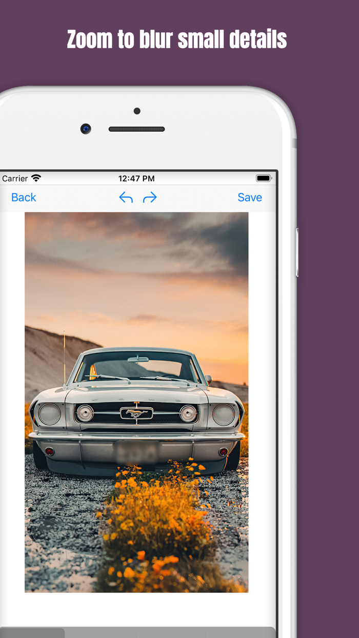 Blur Photo Effect Editor
