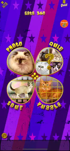 Game screenshot Animals 360 - Cats mod apk