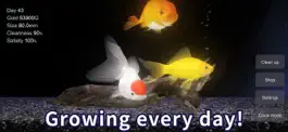 Game screenshot Goldfish - Aquarium Fish Tank hack
