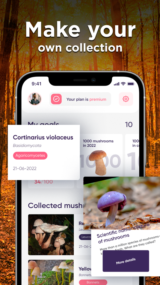 #3. Mushroom Identifier: Photo ID (iOS) 由: Picture & Photo Identifier Company LTD