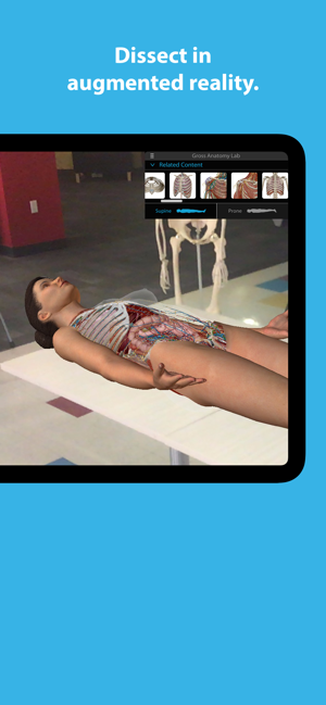 Снимак екрана Атласа анатомије човека 2024