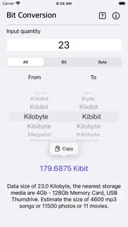 bit converter plus iphone screenshot 4