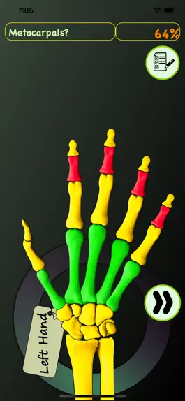 Game screenshot Hand Bones: Speed Anatomy Quiz hack