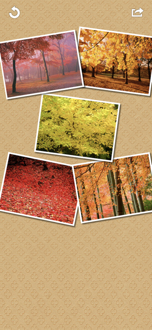 Frame Collage Screenshot