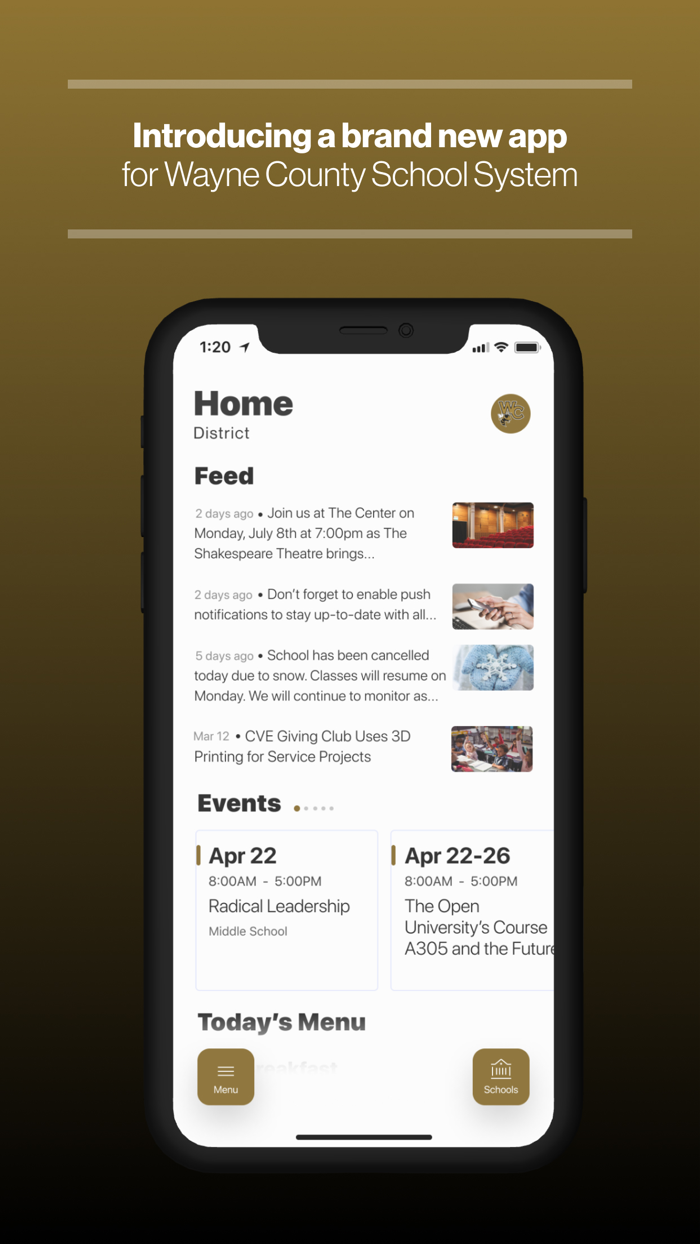 Wayne County GA Schools