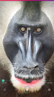 monkey sounds pro iphone screenshot 4