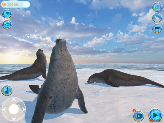 Seal Island iPad screenshot 1 - Games app