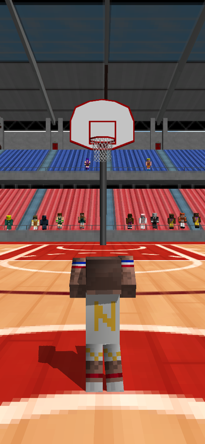 Pixel Basketball 3D