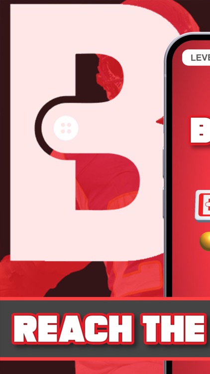 Bvd Lines - Sports Flip