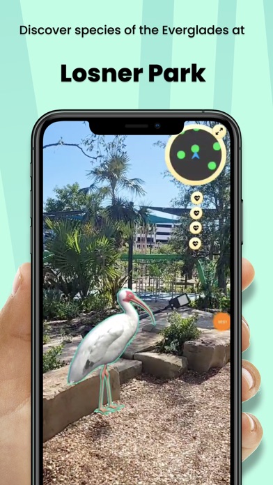 Everglades Safari AR Screenshot
