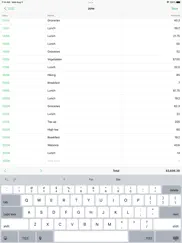 monies expense tracker ipad images 1