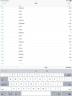 Monies Expense Tracker iPad image 1